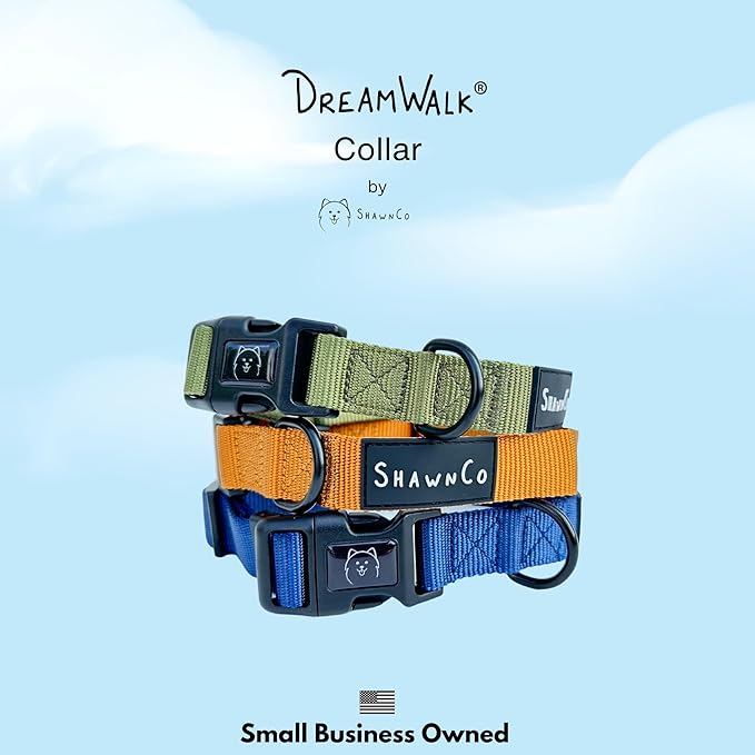ShawnCo Dream Walk Dog Collar- Premium, Adjustable and Comfortable Pet Collar for Small, Medium, Large and Extra Large Dogs (Electric Blue,M)