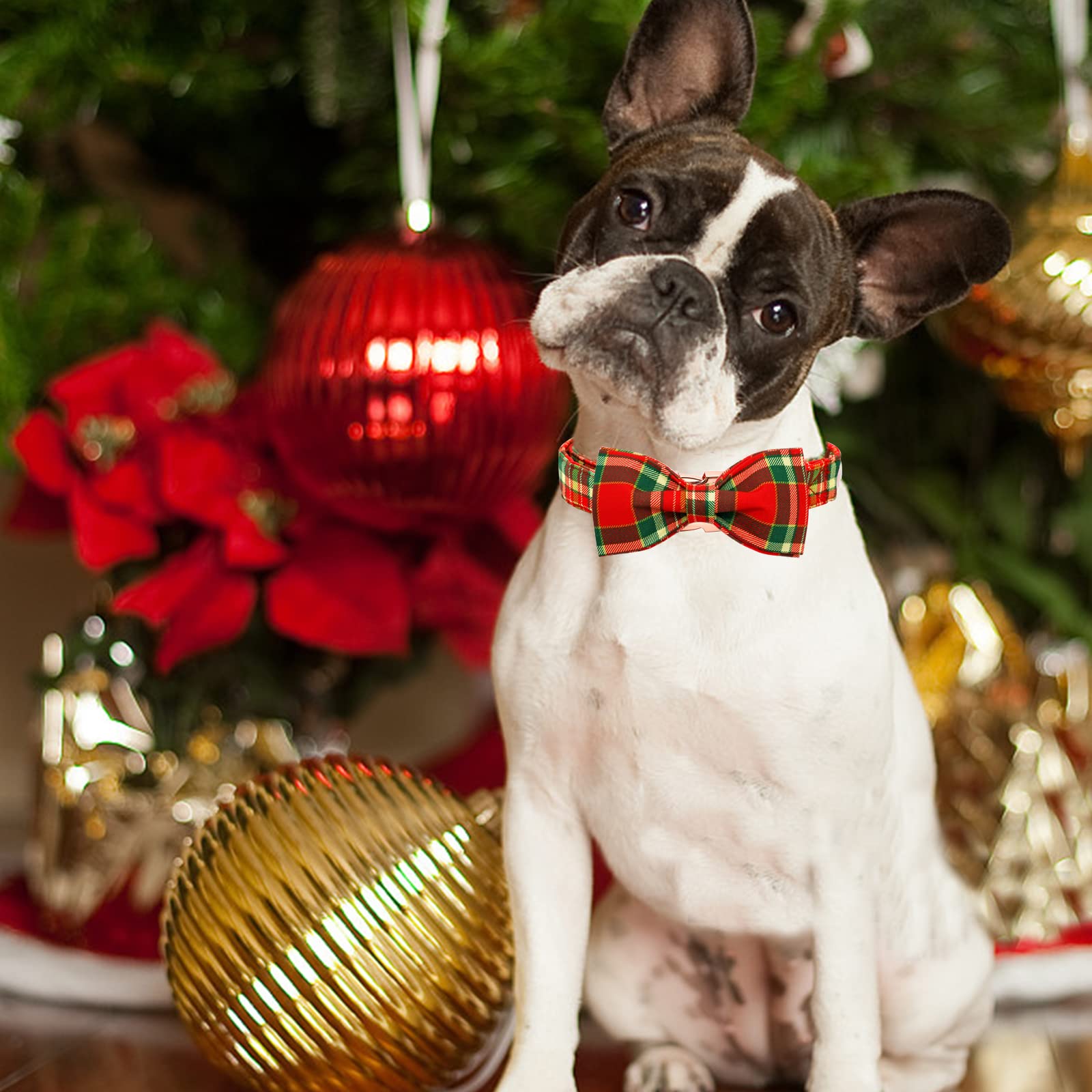 Bobo Rainbow Dog Collar - Christmas Red Plaid Dog Collars Bowtie Gift Soft Bow Collar with Bow Adjustable Metal Buckle Pet Collar for Medium Dogs