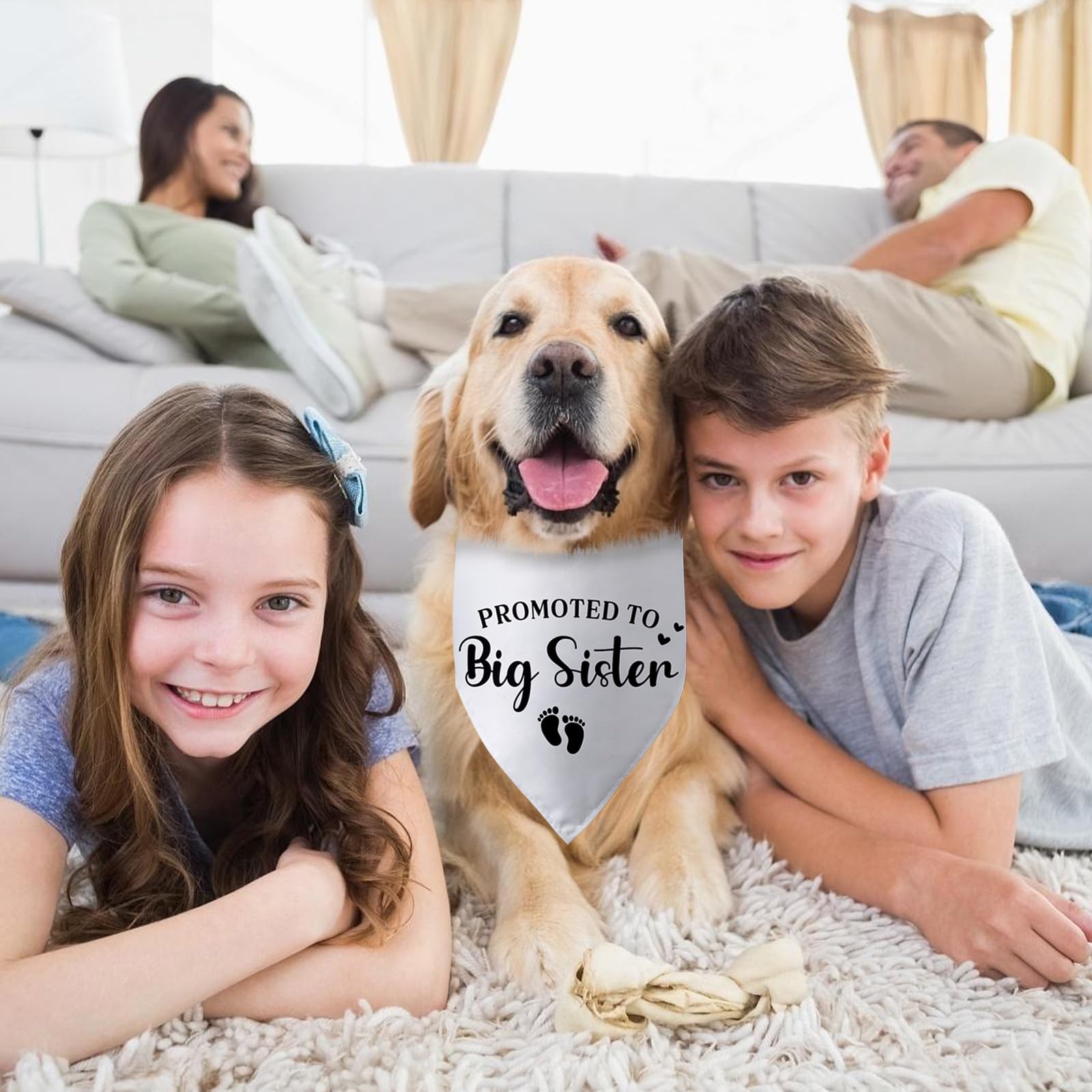 Promoted to Big Sister Pregnancy Announcement Dog Bandana Baby Gender Reveal Baby Announcement Photo Props Dog Scarf for Large Medium Small Dogs