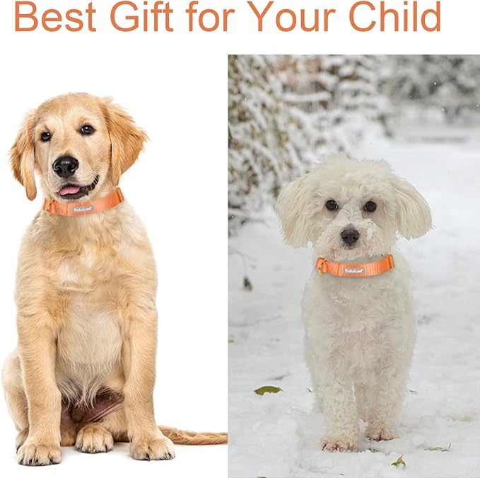 Babole Pet Nylon Dog Collar - Adjustable Orange Soft Webbing Dog Collars for Small Medium Large Dogs Boy Girl Puppy Collar with Safety Metal Buckle L