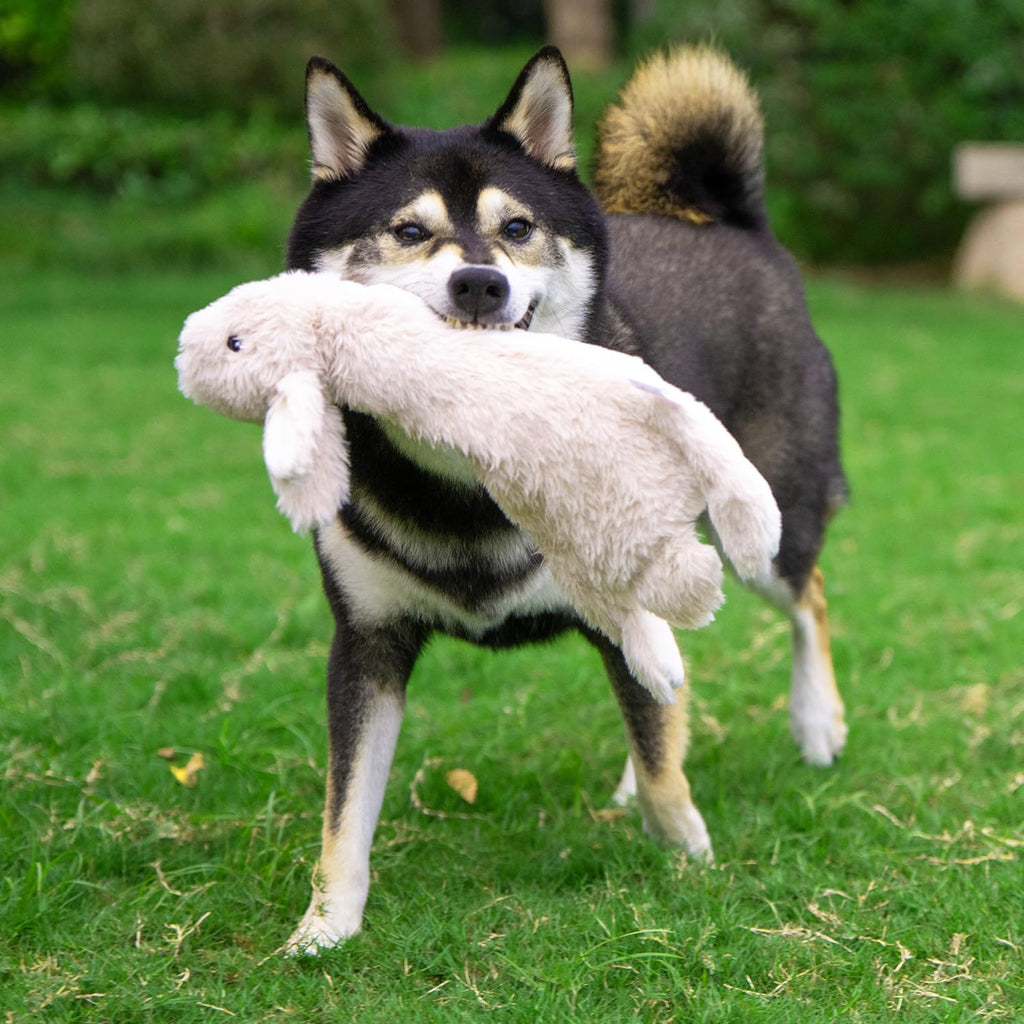 Best Pet Supplies Squeaky Dog Toys with Soft Durable Fabric for Small, Medium and Large Pets Interactive Toy for Indoor Play, Supports Active Biting and Play - Hare, Pig, Small