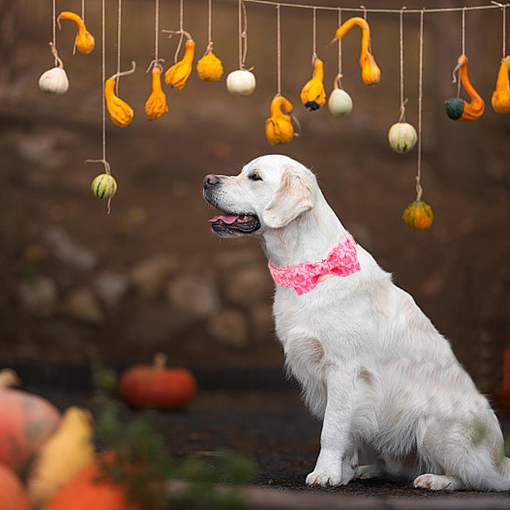 Bobo Rainbow Dog Collar, Pink Pumpkin Print Adjustable Pet Collar Cute Cotton Soft Collars with Bow Tie Fall Metal Buckle Holiday Puppy Collars Boy&Girl Gift for X-Small Dogs