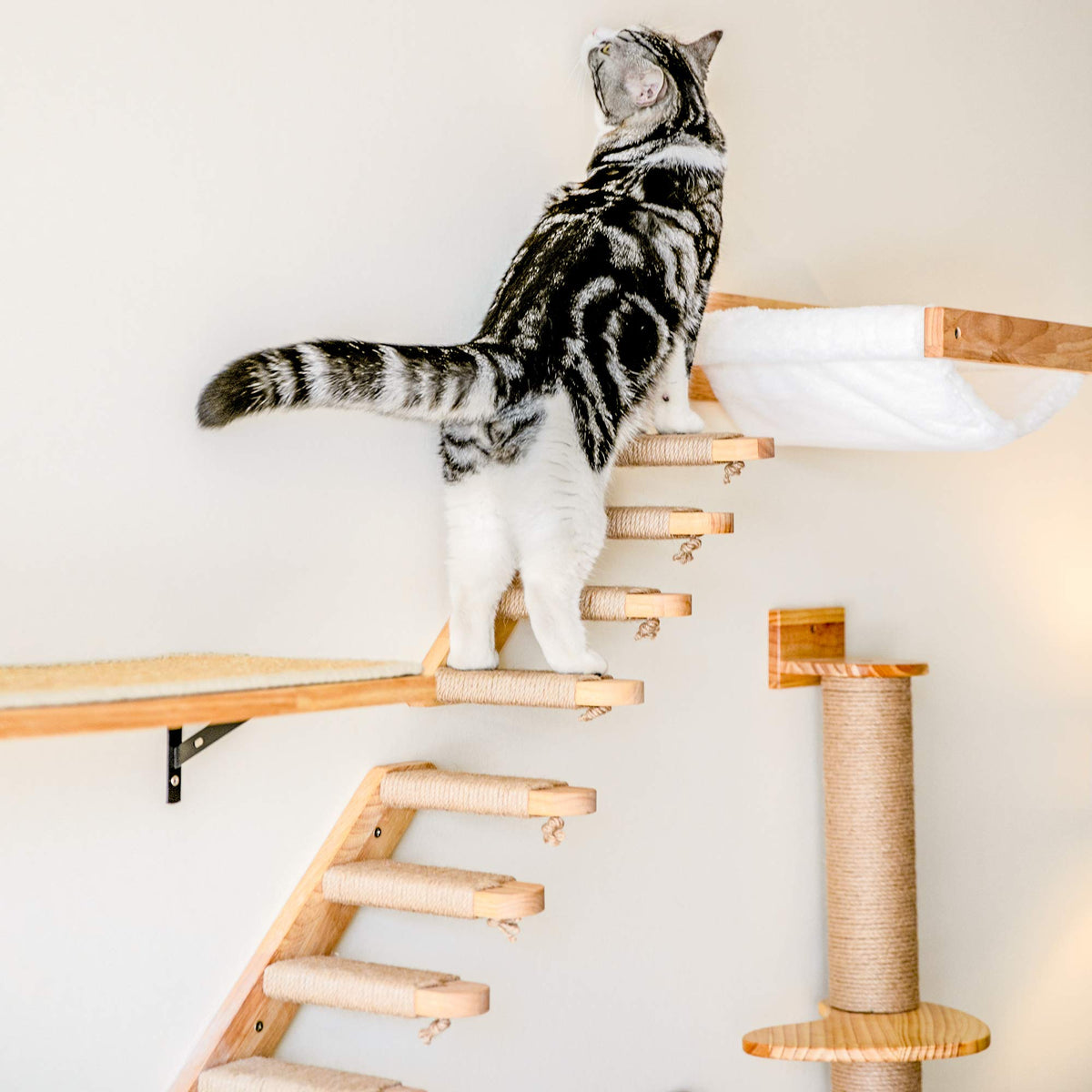 FUKUMARU Cat Climbing Shelf Wall Mounted, Small