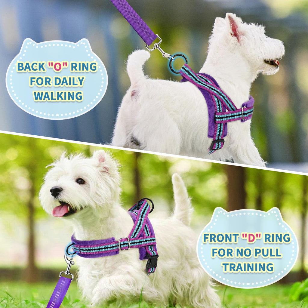 SlowTon No Pull Small Dog Harness and Leash Set with Front Clip