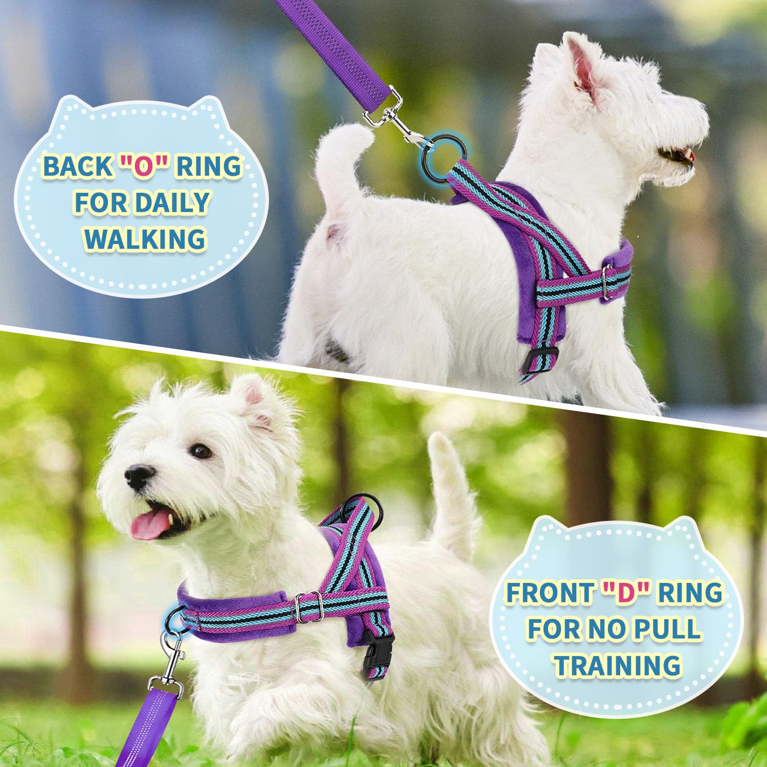 SlowTon No Pull Small Dog Harness and Leash Set with Front Clip