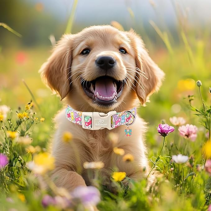 Babole Pet Easter Dog Collar for Puppy Small Dogs - Colorful Bunny Print Easter Collar for Male Female Dogs, Lightweight Adjustable Spring Holiaday Dog Collars with Quick Release Buckle XS