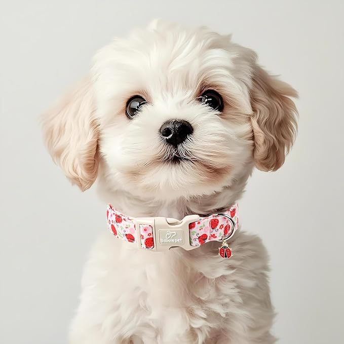 Babole Pet Lucky Ladybug Dog Collar for Puppy Small Dogs - Sweet Pink Girl Dog Collars, Lightweight Adjustable Spring Garden Mom Dogs Collars with Quick Release Buckle XS
