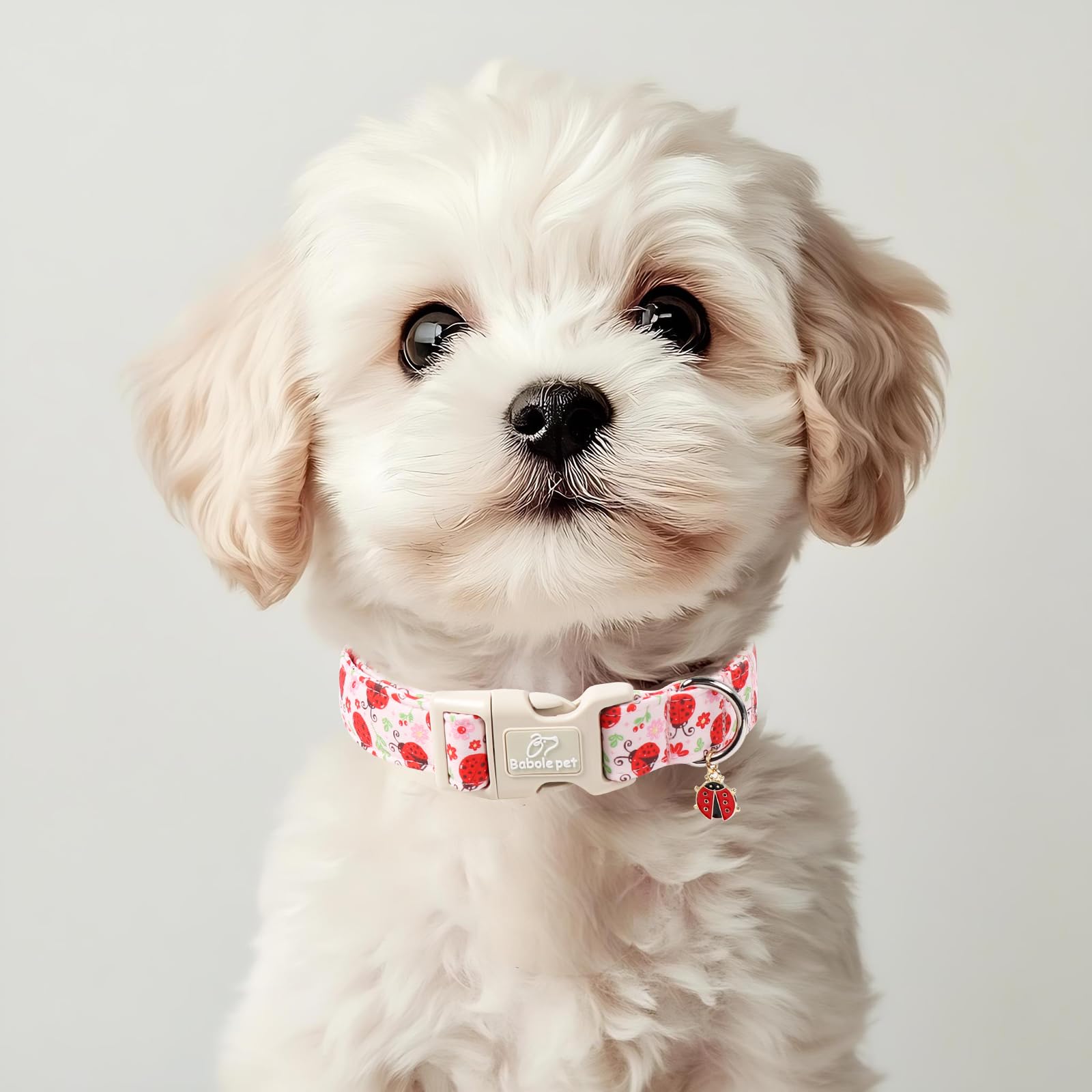 Babole Pet Lucky Ladybug Dog Collar for Puppy Small Dogs - Sweet Pink Girl Dog Collars, Lightweight Adjustable Spring Garden Mom Dogs Collars with Quick Release Buckle XS