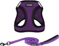 Best Pet Supplies Voyager Step-in Air All Weather Mesh Harness and Reflective Dog 5 ft Leash Combo with Neoprene Handle, for Small, Medium and Large Breed Puppies - Purple/Black Trim, XX-Small