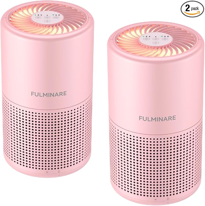 FULMINARE Air Purifiers for Home H13 True HEPA Air Filter (Gray 2 Pack)