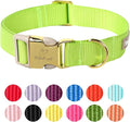 Nylon Dog Collar - Adjustable Fluorescent Green Soft Webbing Dog Collars for Small Medium Large Dogs Boy Girl Puppy Collar with Safety Metal Buckle S