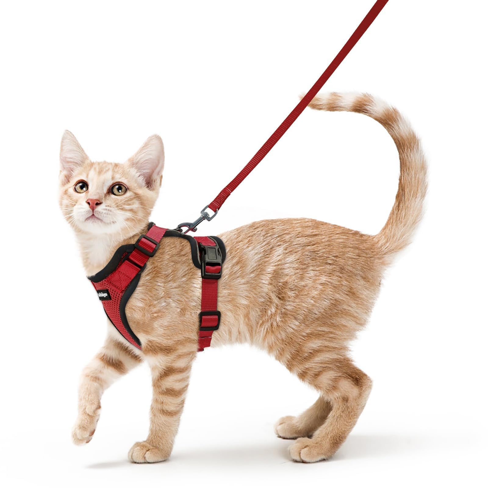 rabbitgoo Cat Harness and Leash Set, Escape Proof Vest, Emerald