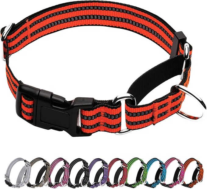 JOYEEIIOO Martingale Collar for Dogs, Reflective No Slip(Pink Ivory,S)
