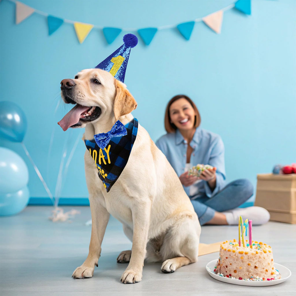 EXPAWLORER Embroidered Dog Birthday Bandana - Dog Birthday Party Supplies, Dog Scarf and Party Hat with Numbers for Boy, Pet Bow Tie Collar, Cute Outfit for Small Medium Large Dogs (X-Large)