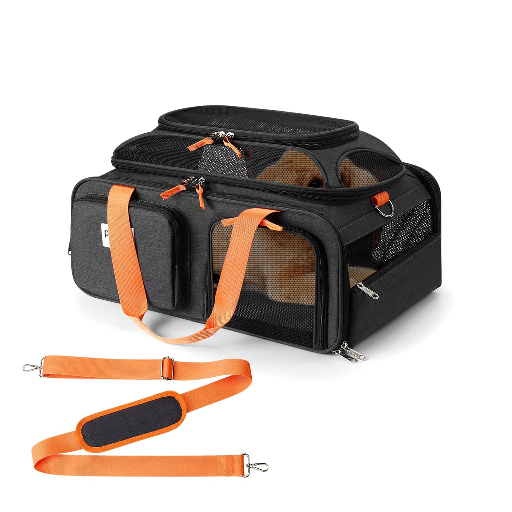 pidipiti 19x13x9 top Expandable pet Carrier, for Small Dog/cat up to 10 lbs