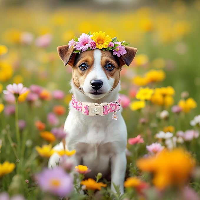 Babole Pet Summer Daisy Dog Collar, Cute Floral Adjustable Pink Dog Collars for Large Dogs, Lightweight Quick-Release Buckle Collar for Boy&Girl Dogs L