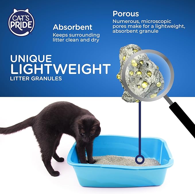 Cat's Pride Flushable Lightweight Scented Clumping Litter 10lb