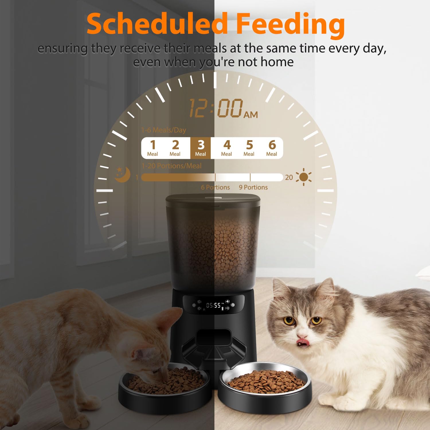 Automatic Cat Feeder