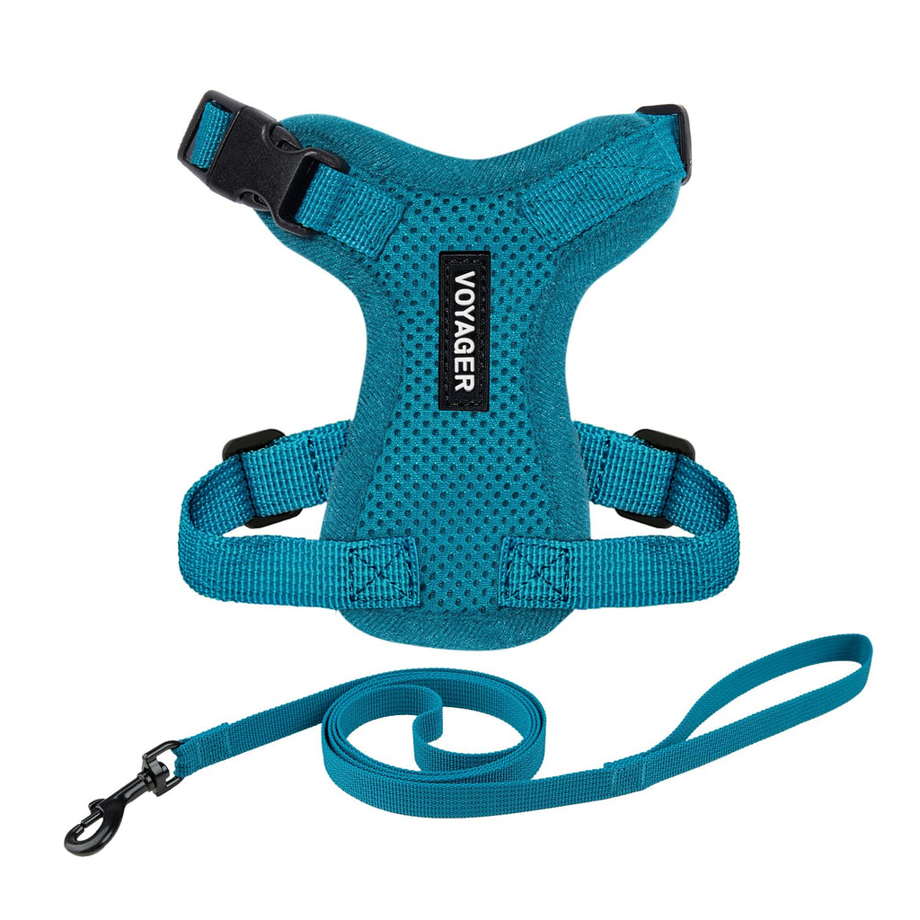 Voyager Escape-Proof Step-in Lock Cat Harness & 5ft Neoprene-Handle Leash Set All-Weather Mesh with Reflective Stitching for Small to Large Cats by Best Pet Supplies, Turquoise, XXS