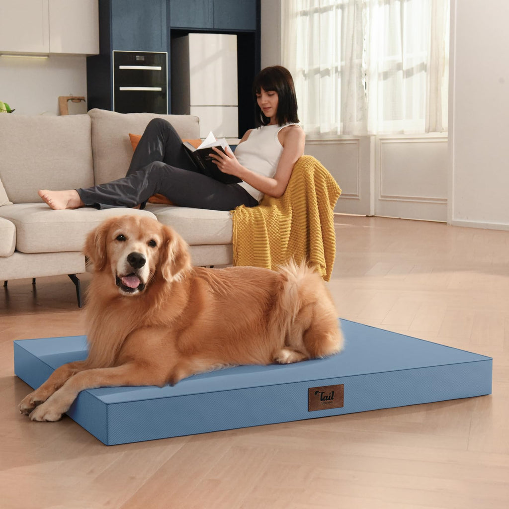 Tail Stories Orthopedic Waterproof Dog Bed for Small Dogs and Cats