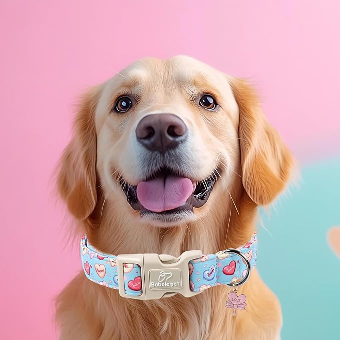 Valentines Dog Collar for Large Dogs - Valentine Candy Hearts Dog Collars, Love Boy Girl Dogs Collars, Lightweight Adjustable Cute Blue Puppy Collar with Quick-Release Buckle L