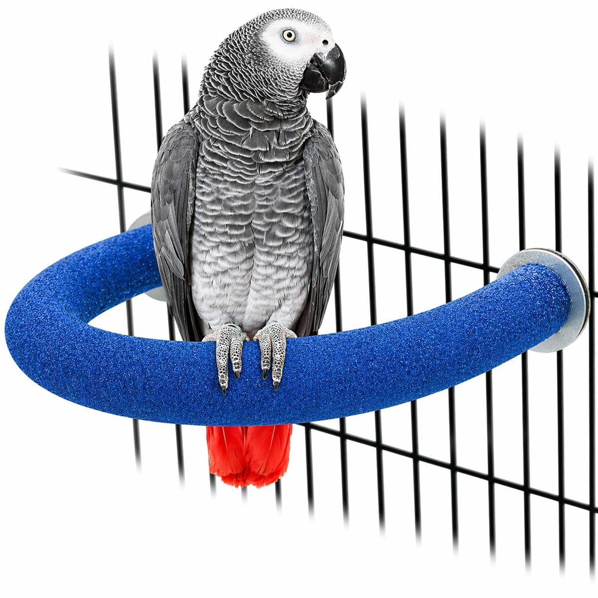 Rypet 90-Degree Parrot Perch for Cage Corner, Quartz Bird Perch (Green XL)