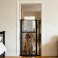 Lumizone 55.12" Extra Tall Pet Gate for Cat Dog 30.12"-38.38" Wide Black