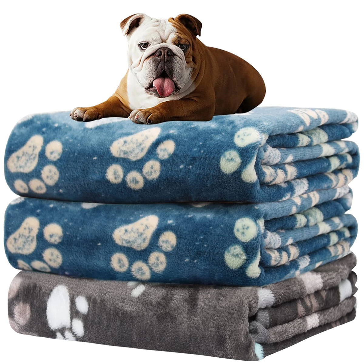 Rezutan 3 Pack Premium Soft Dog Blanket for Medium Dogs Puppy & Cat