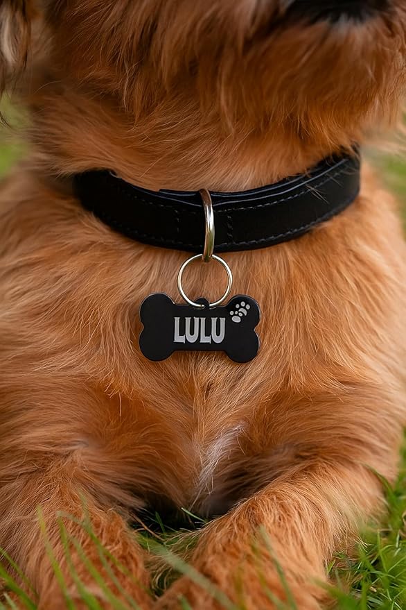 Stainless Steel Personalized Pet ID Tags, Art Design for Dog Tags, Cat Tags, Customized and Engraved on Both Sides of ID Tag, Bone in Black, Silver, Blue, Gold, Rose Gold and Rainbow Color
