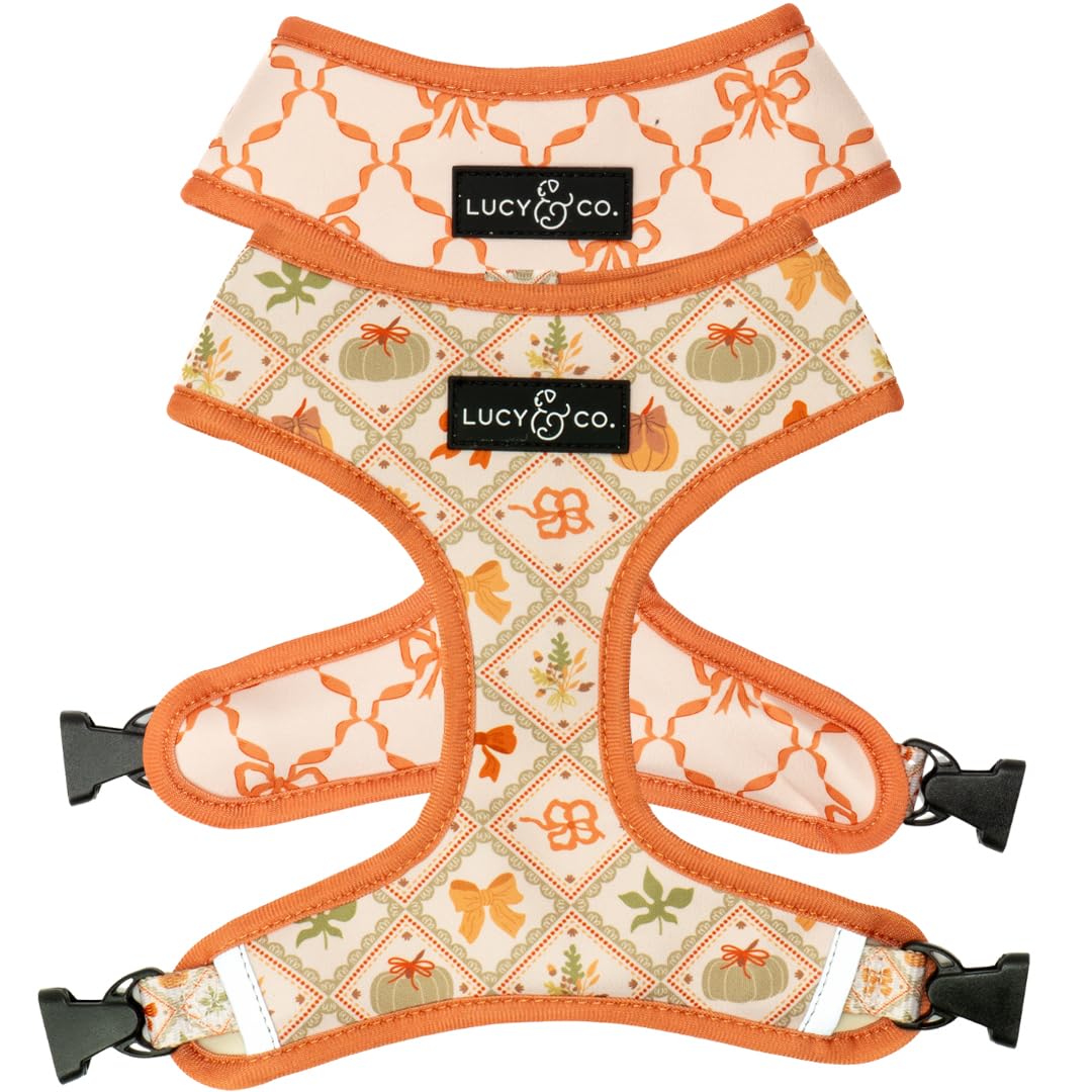 Lucy & Co. Reversible Dog Harness - Water-Repellent Neoprene, Dual-Print Design, Easy Swap Style, Adjustable Comfort Fit - Set Sail Reversible Harness - X-Large