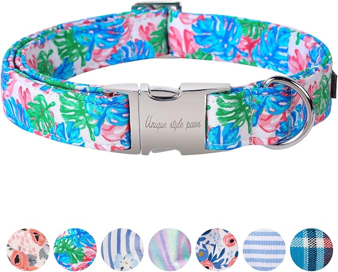 Unique style paws Dog Collar Metal Buckle Collar for Autumn Winter Christmas for Small Medium Large Boys Girls Dogs — S