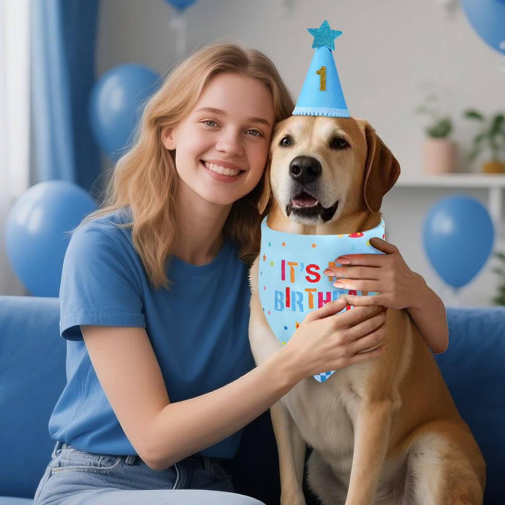 Agroon Blue Dog Birthday Set with Hat Bandana Numbers for Pet Puppy Boy