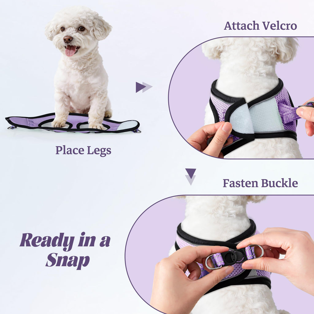 No Pull Dog Puppy Harness and Leash Set Reflective Mesh Vest X-Small
