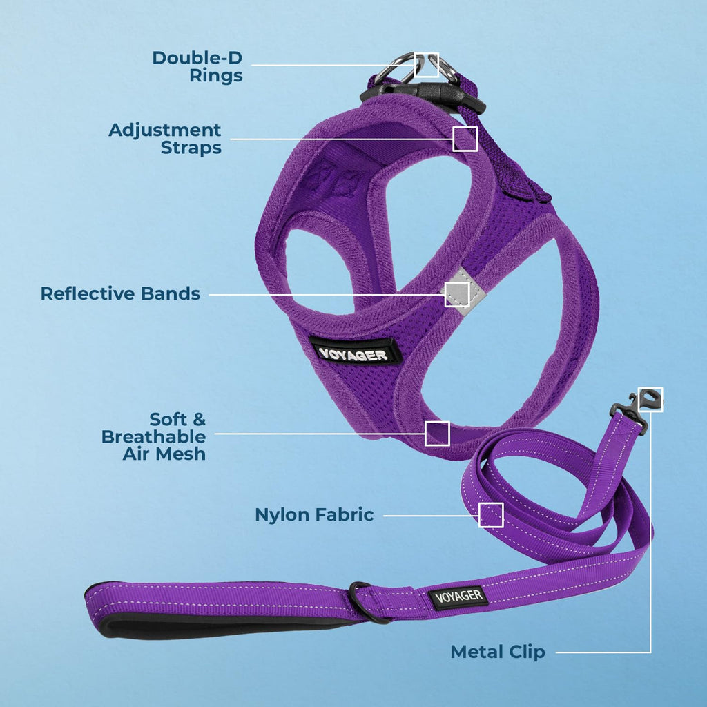 Best Pet Supplies Voyager Step-in Air All Weather Mesh Harness and Reflective Dog 5ft Leash Combo with Neoprene Handle, for Small, Medium and Large Breed Puppies - Purple, Medium