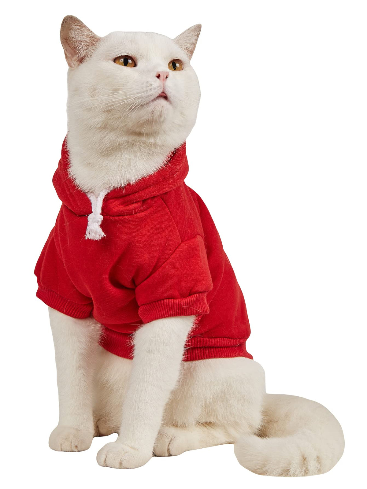 QWINEE Basic Dog Hoodie Sweatshirt Puppy Sweater Warm Cat Costumes Pet Clothes for Chihuahua Puppy Kitten Small Medium Dogs Yellow X-Small
