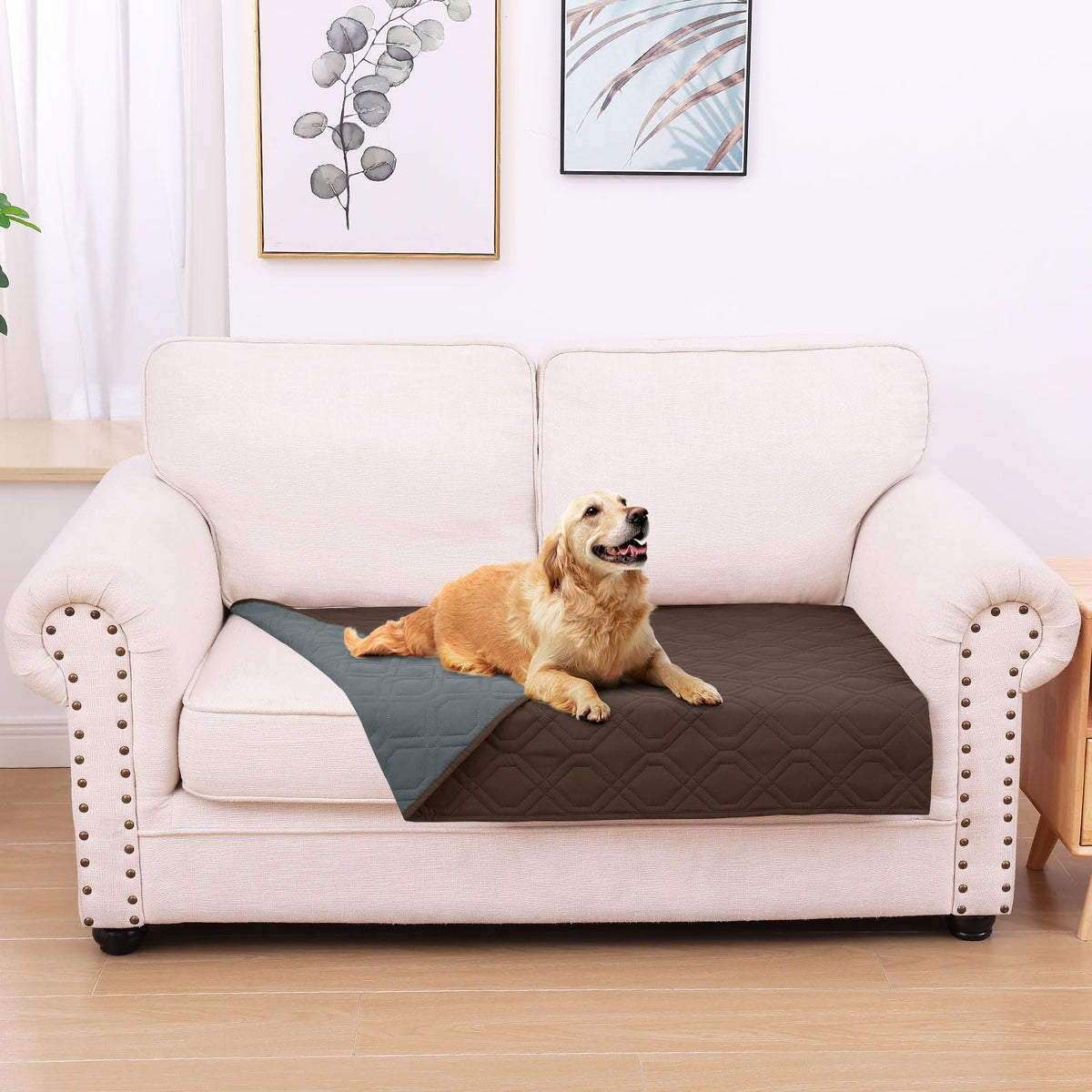 hyha Waterproof Reversible Dog Blanket, Soft Couch Cover for Dogs Washable