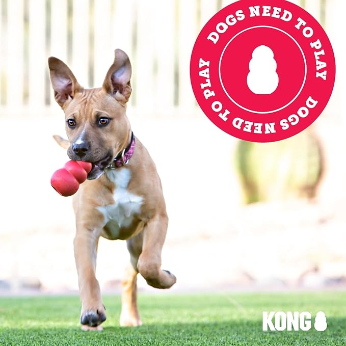 KONG - Puppy Toy Natural Teething Rubber - Fun to Chew, Chase and Fetch - for Medium Puppies - Pink