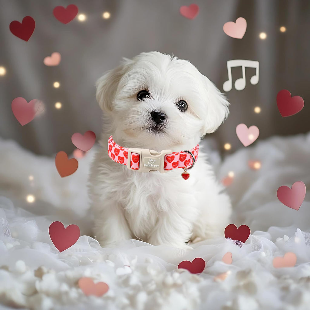 Babole Pet Valentines Dog Collar for Large Dogs - Valentine Red Conversation Hearts Dog Collars, Love Boy Girl Dogs Collars, Lightweight Adjustable Cute Puppy Collar with Quick-Release Buckle L