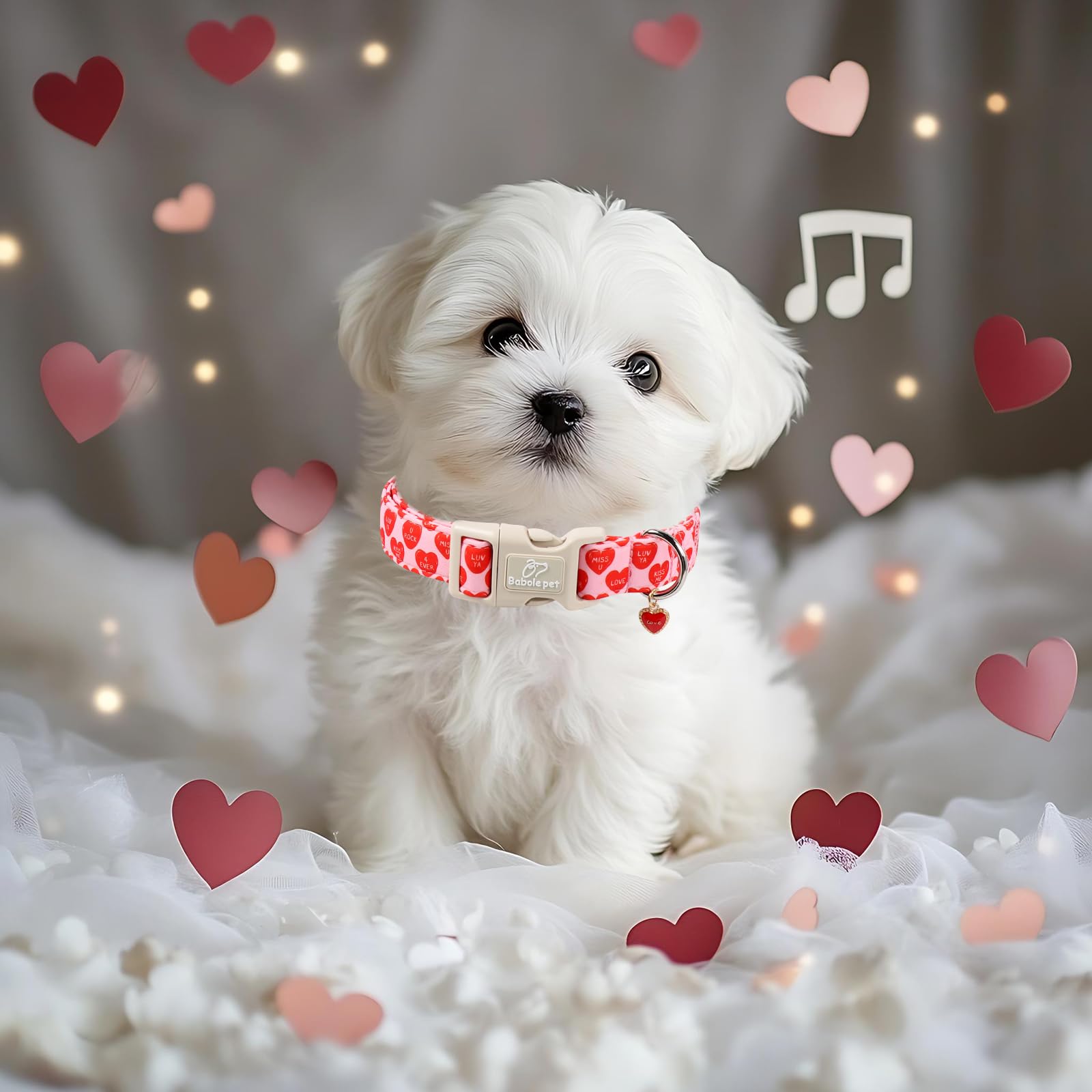 Babole Pet Valentines Dog Collar for Large Dogs - Valentine Red Conversation Hearts Dog Collars, Love Boy Girl Dogs Collars, Lightweight Adjustable Cute Puppy Collar with Quick-Release Buckle L