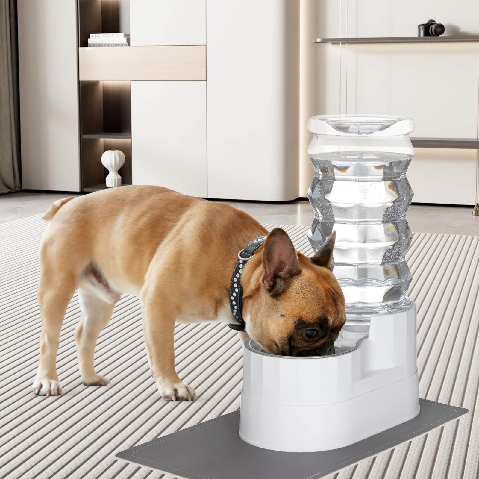 RIZZARI 8L Elevated Dog Water Dispenser: Senior Pets Filtered Hydration