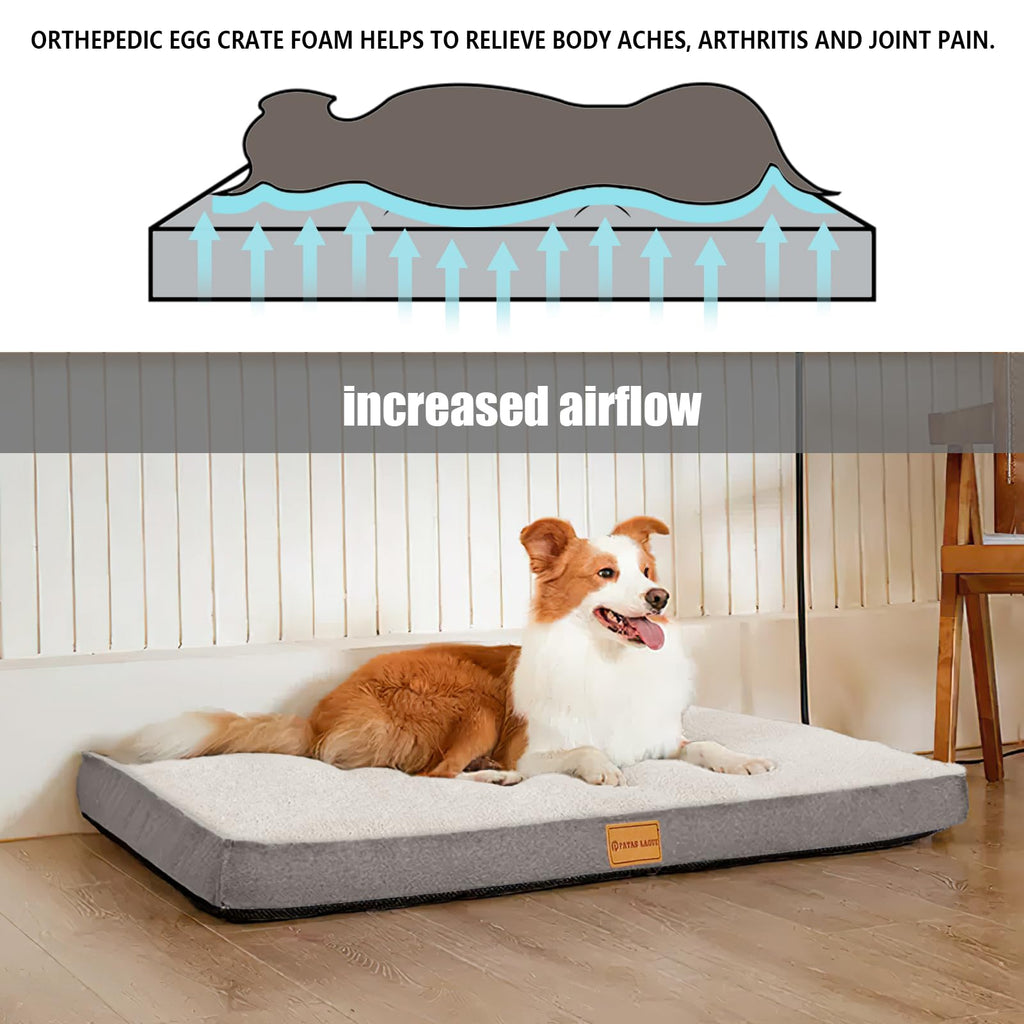 Patas Lague Orthopedic Large Dog Bed Washable Pet Sofa Mat 56''X40'' Ivory