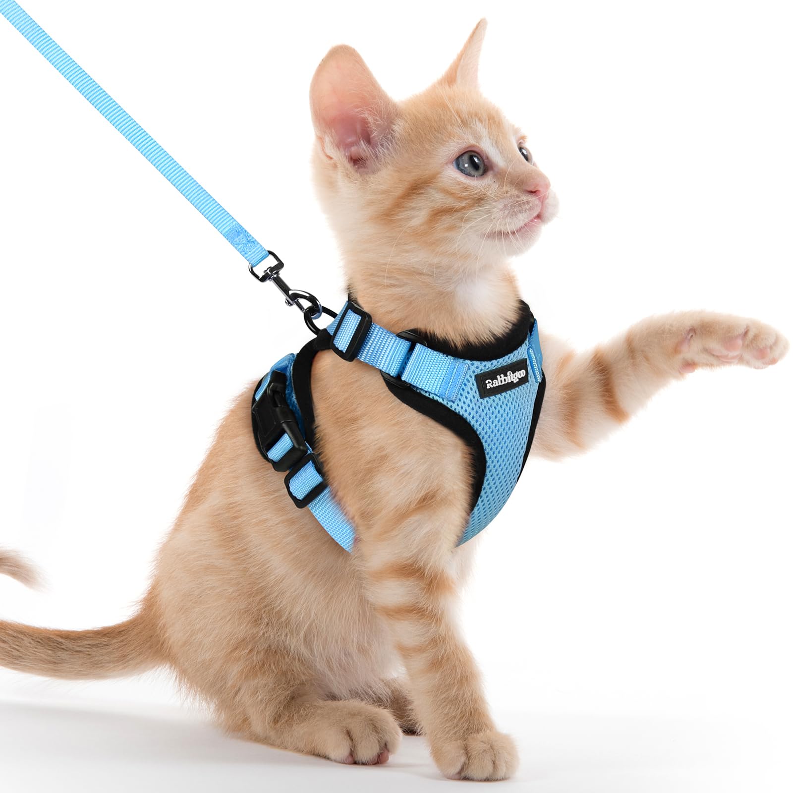 rabbitgoo Cat Harness and Leash Set, Escape Proof Vest, Emerald
