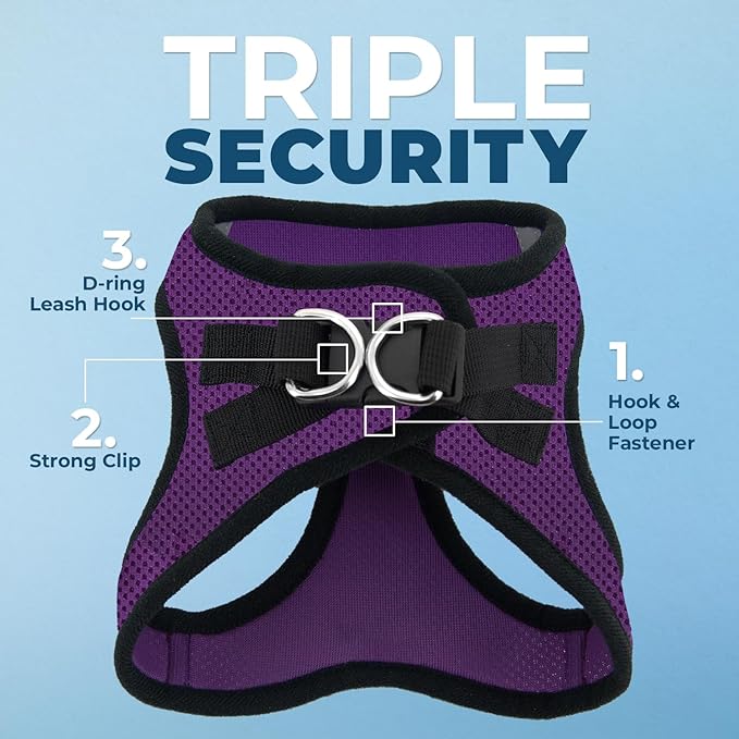 Best Pet Supplies Voyager Step-in Air Harness - All Weather Mesh, Reflective, No Pull Harness for Dogs, Cats - Secure with Hook & Loop Fastener, Buckle, Double D-Rings - Purple/Black Trim, XS