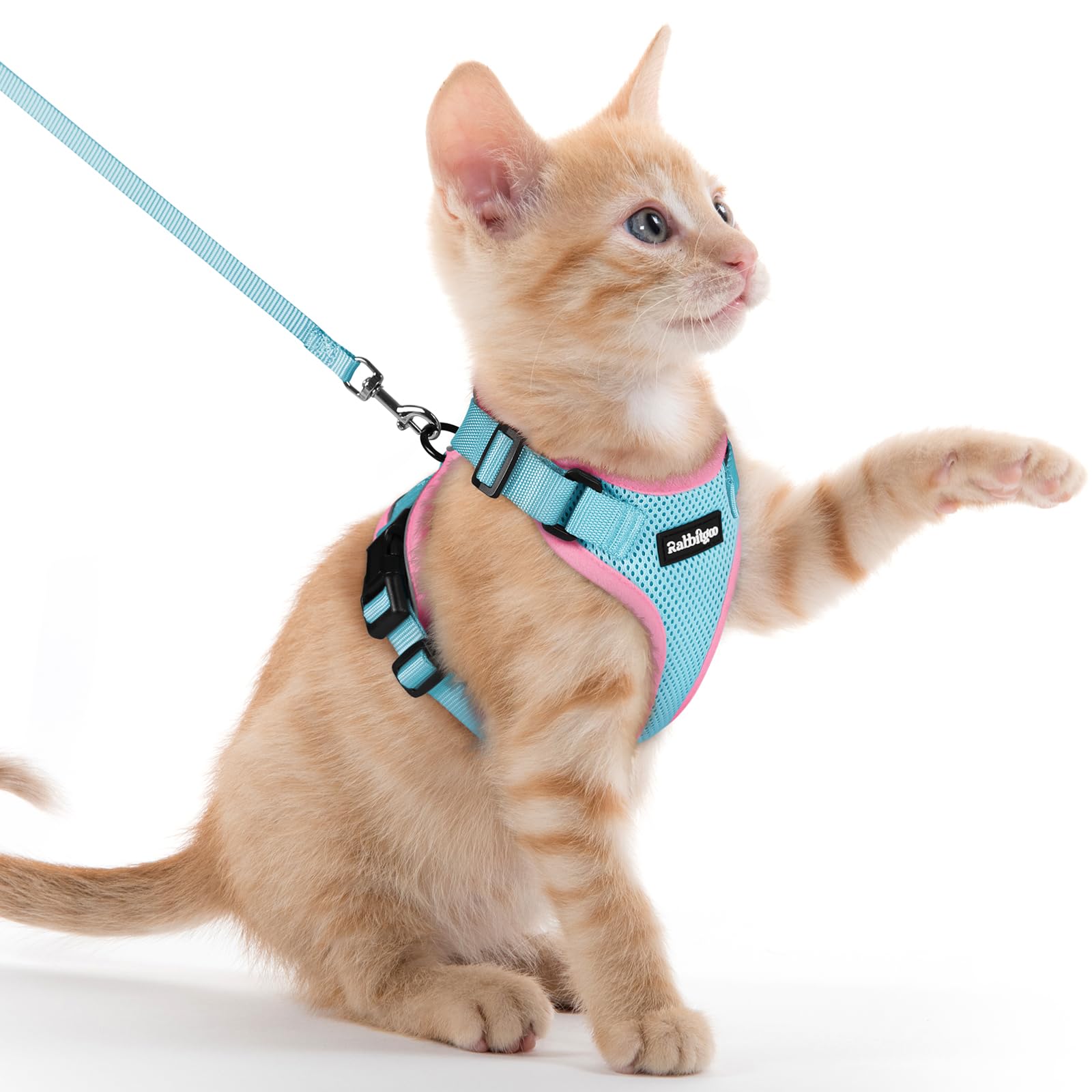 rabbitgoo Cat Harness and Leash Set, Escape Proof Vest, Emerald
