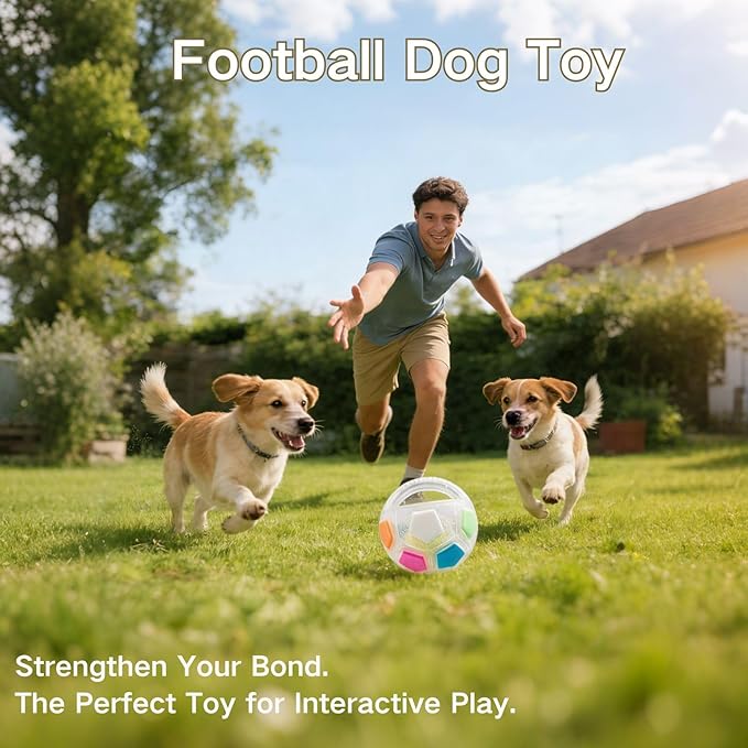 Dog Calming Ball with Handle, Interactive Ball for Playing with Pet Dogs, Interactive Soccer Toy with Squeaking Tennis Ball Inside, for Water Play, Training & Outdoor Games (White)