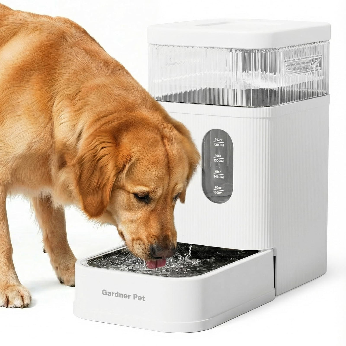 1.7 Gallon Automatic Dog Water Dispenser with Stainless Steel Bowl