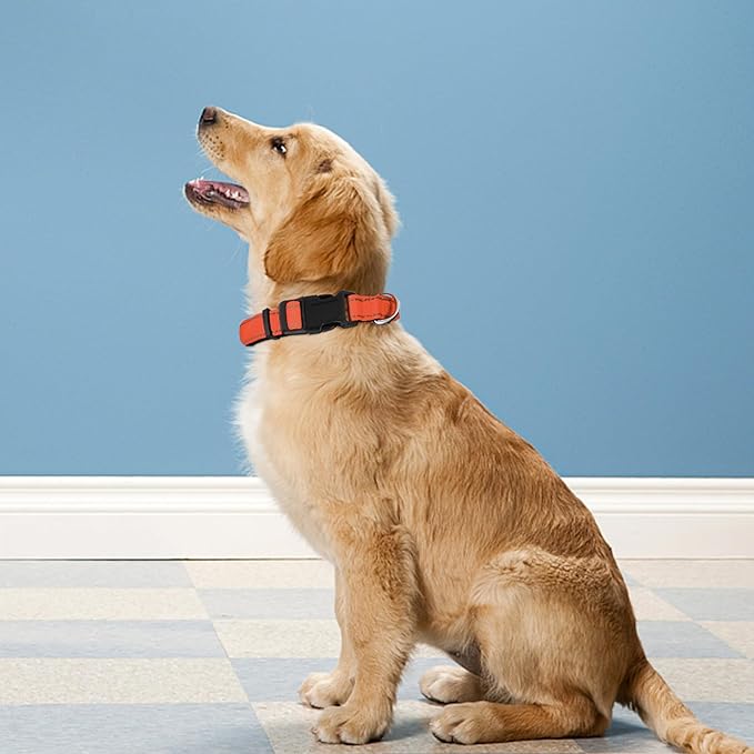 PWOD Reflective Dog Collar, Adjustable Soft Neoprene Padded Nylon Pet Collars with Buckle for Extra Large Dogs, Orange,XL