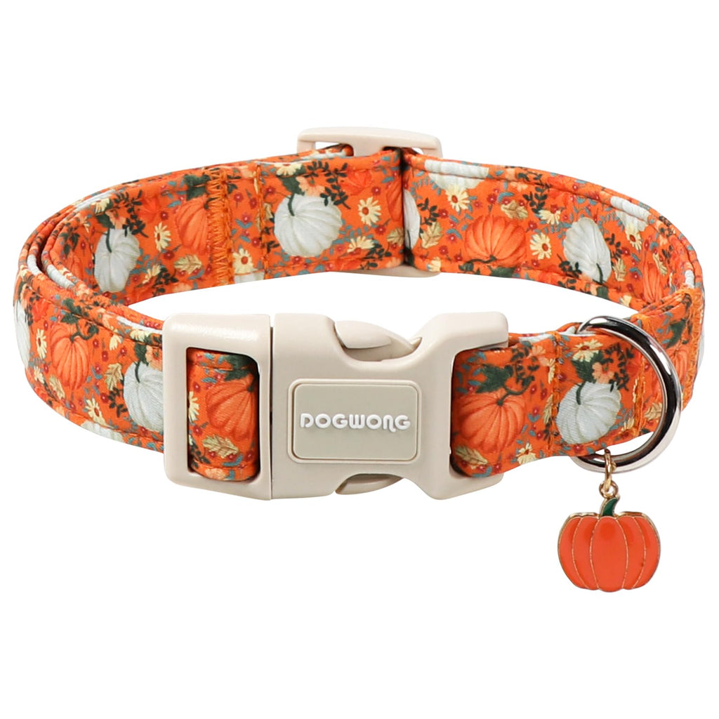 DOGWONG Fall Pumpkin Dog Collar- Cute Daisy Pumpkin Dog Collars Adjustable Orange Halloween Thanksgiving Dog Collar for Small Medium Large Dogs M — XS — L — M
