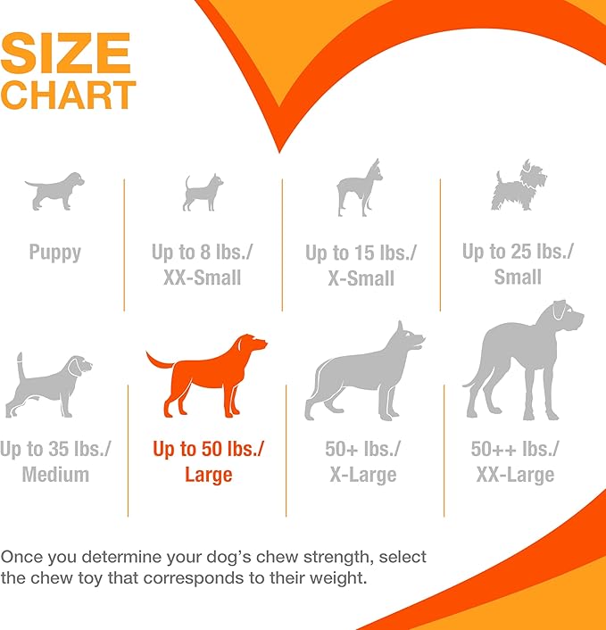 Nylabone Textured Bone Power Chew Toy for Dogs, Durable & Tough Dog Toys for Aggressive Chewers, Beef Jerky Flavor, Large Dogs - Up to 50 lbs, 1 Count