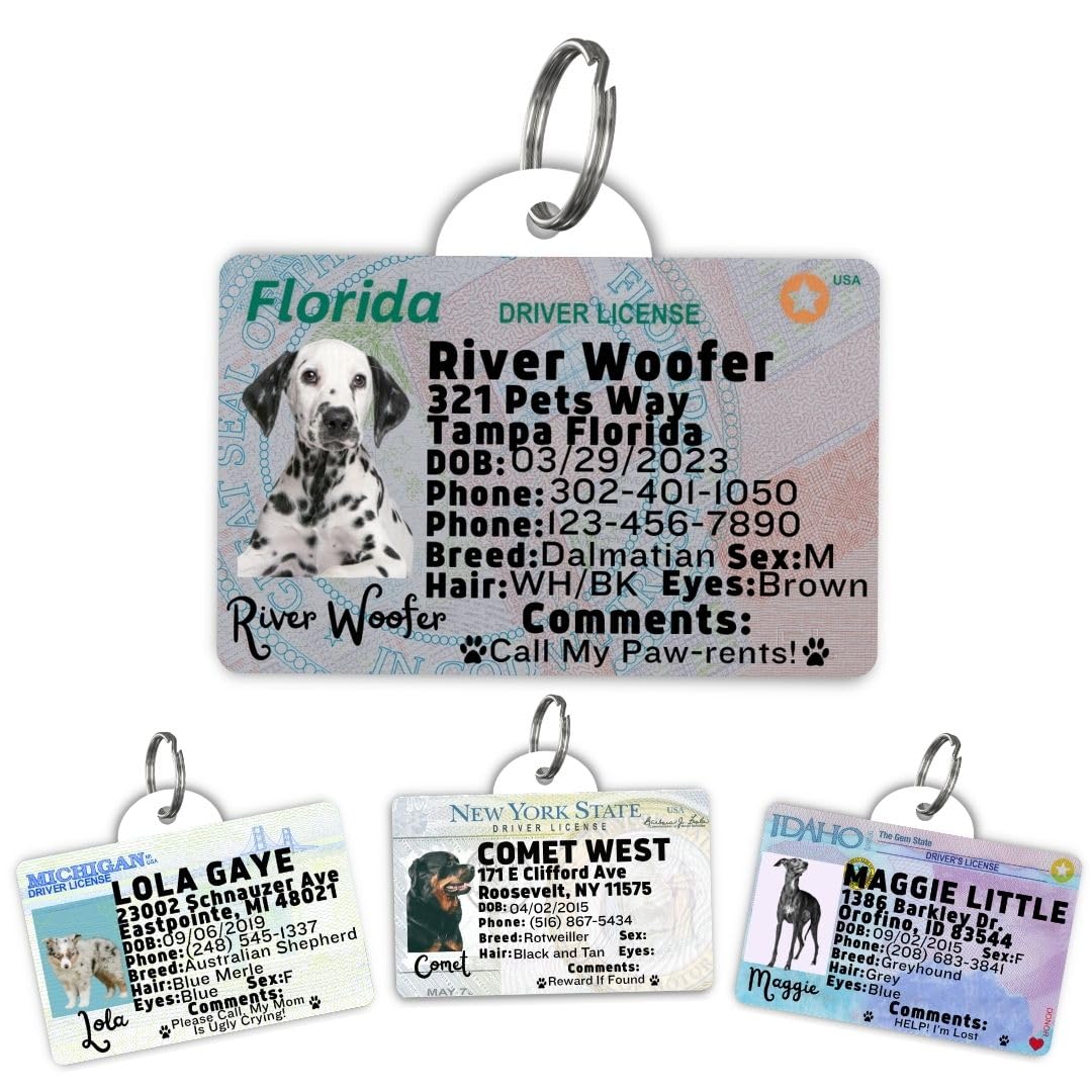 Dog Tags Personalized, Dog ID License Tag for Pets (Washington, Tag)